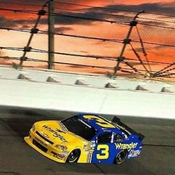 Meet your Posher, Steve - Picture 1 of 1